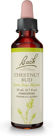 Bach - Chestnut Bud 5x