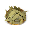 Tamal Patra