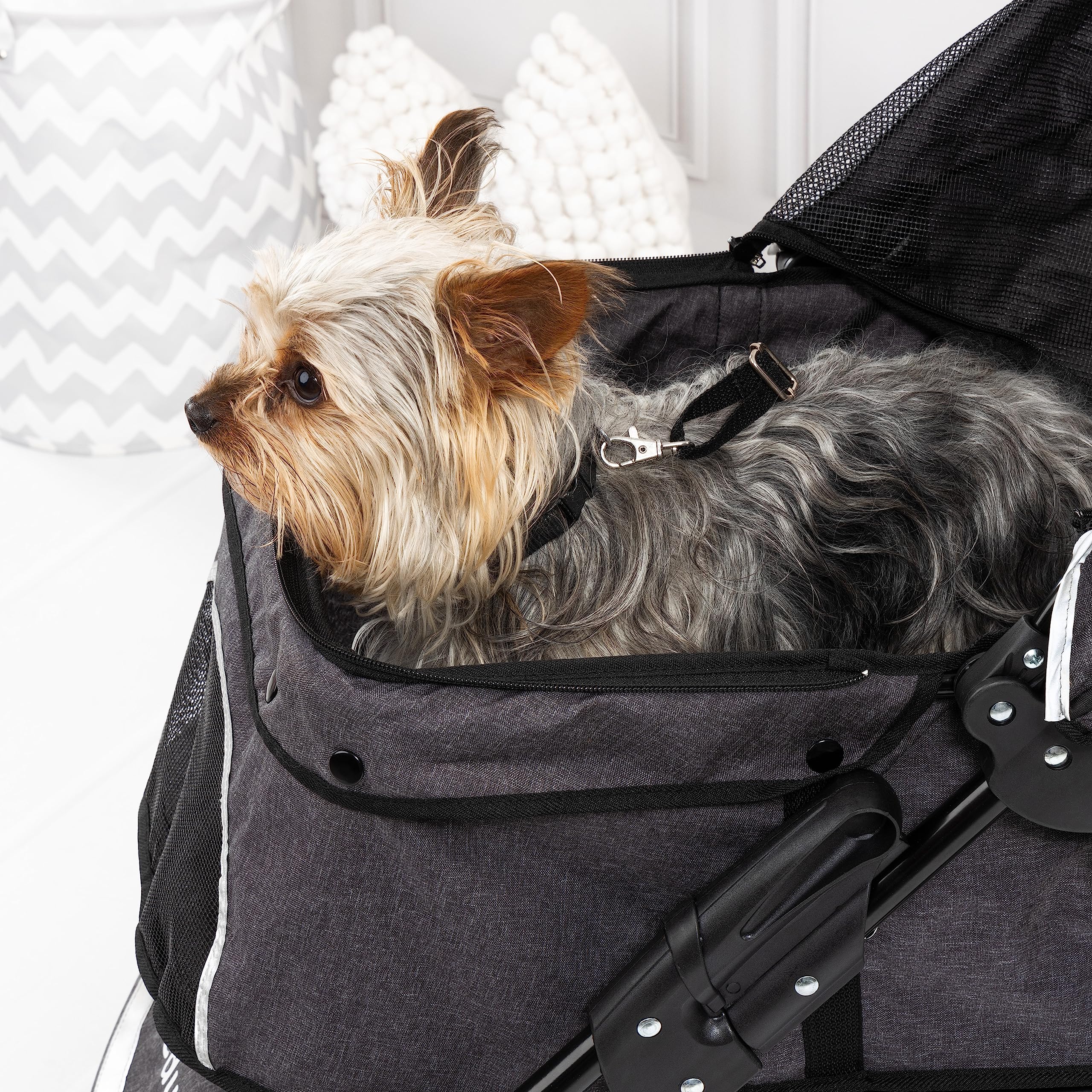 Bayer Design - PET STROLLER