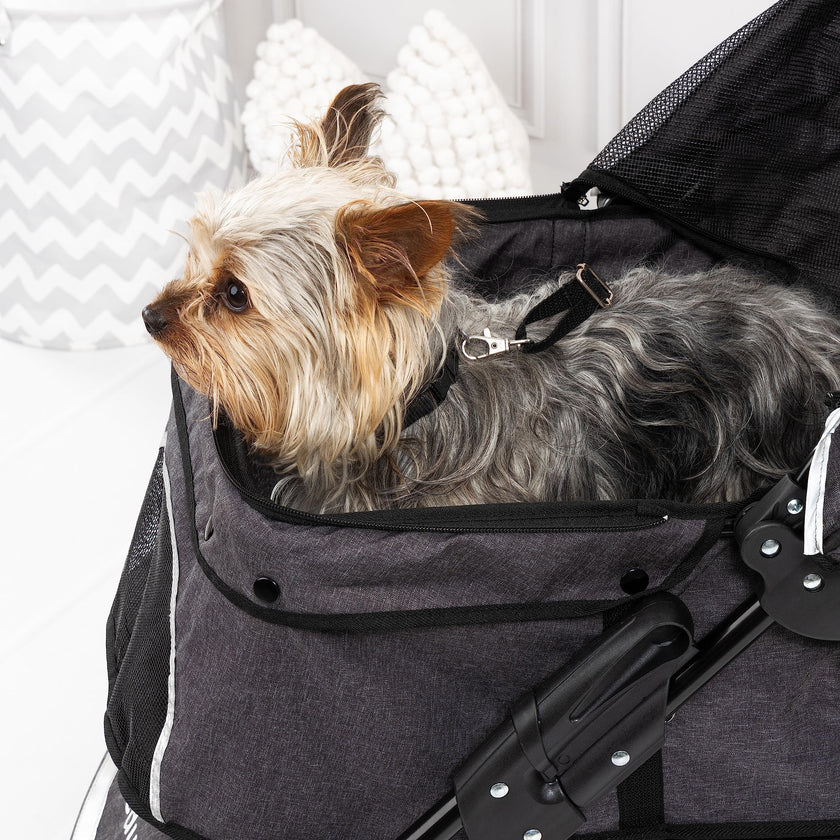 Bayer Design - PET STROLLER
