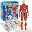 Be Amazing Toys - Corps humain interactif