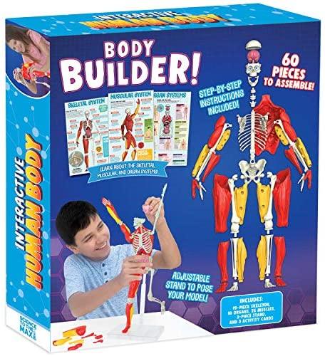 Be Amazing Toys - Corps humain interactif