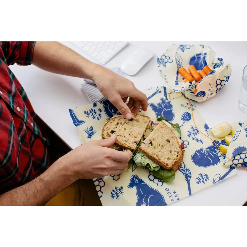 Bees Wrap - Bee's & Bears Lunch Pack 3/St Assorted Sizes