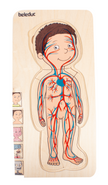 Beleduc - Body Puzzle - Boy