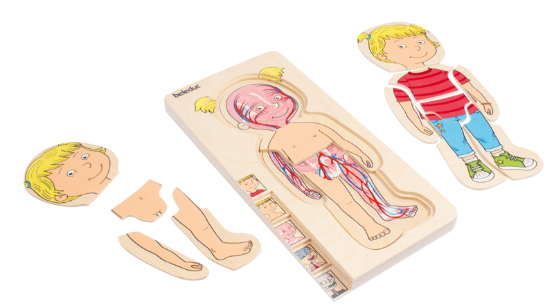 Beleduc - Body - Puzzle - Girl