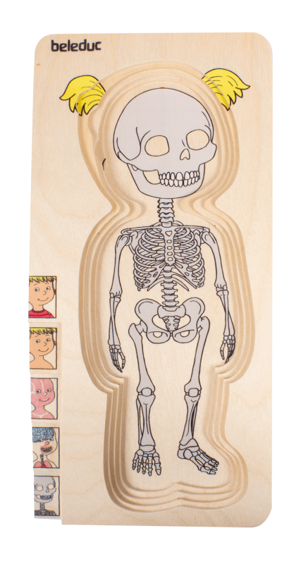 Beleduc - Body - Puzzle - Girl