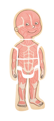 Beleduc - Body - Puzzle - Girl