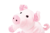 Beleduc - Handpuppet - Pig