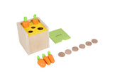 Beleduc - Inserting & Dropping Box