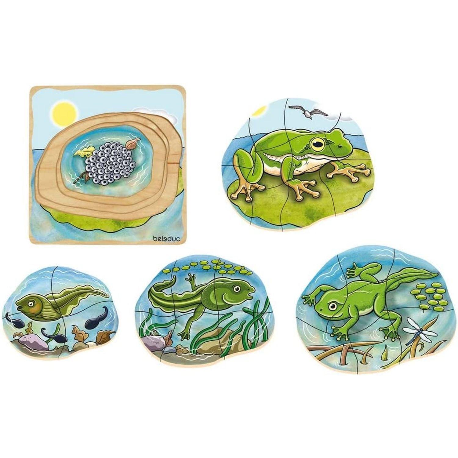 Beleduc - Layer Puzzle - Frog
