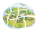 Beleduc - Layer Puzzle - Frog