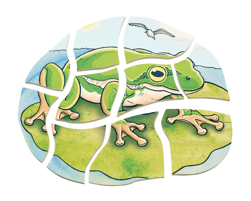 Beleduc - Layer Puzzle - Frog