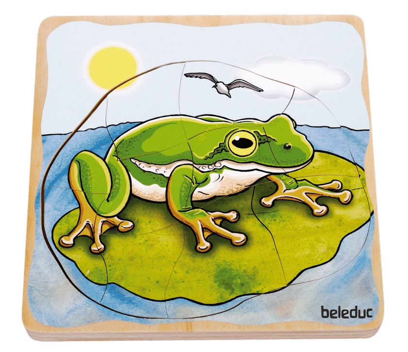 Beleduc - Layer Puzzle - Frog