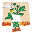 Beleduc - Layer Puzzle - Strawberry