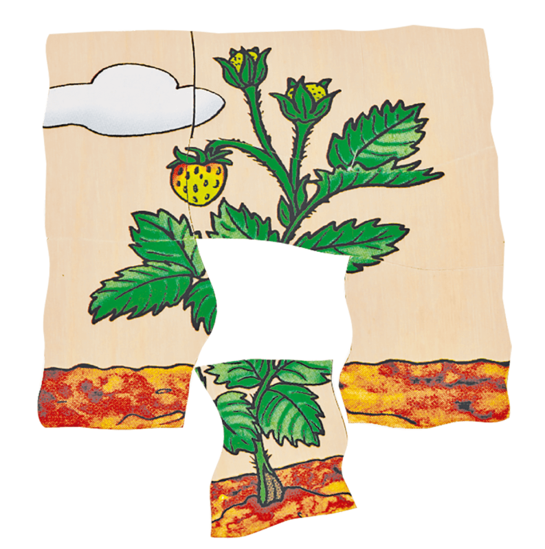 Beleduc - Layer Puzzle - Strawberry