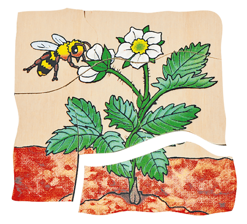 Beleduc - Layer Puzzle - Strawberry