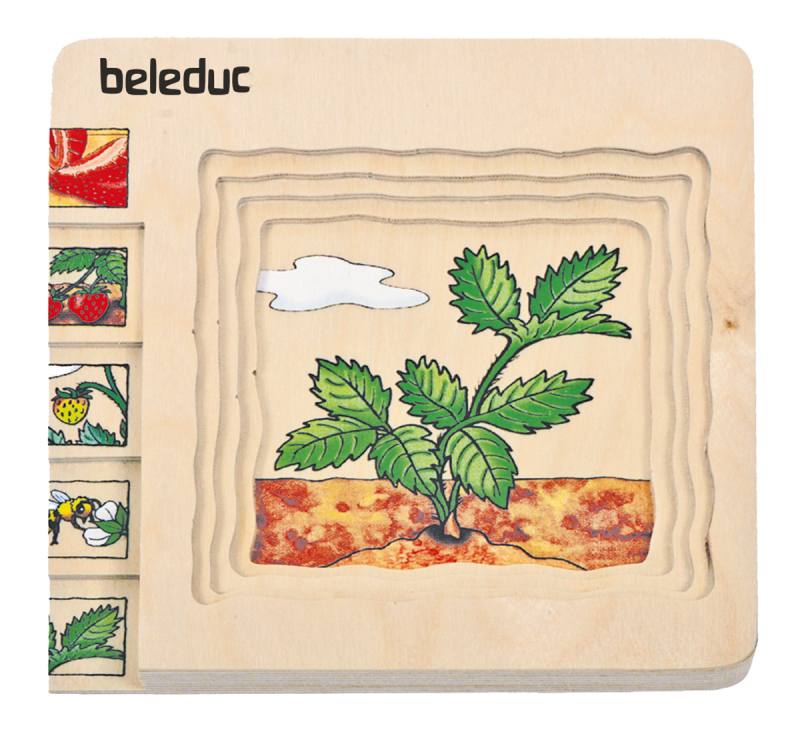 Beleduc - Layer Puzzle - Strawberry