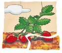 Beleduc - Layer Puzzle - Strawberry