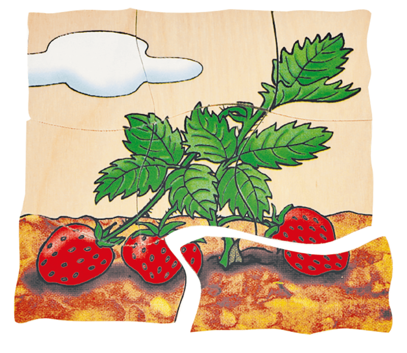 Beleduc - Layer Puzzle - Strawberry