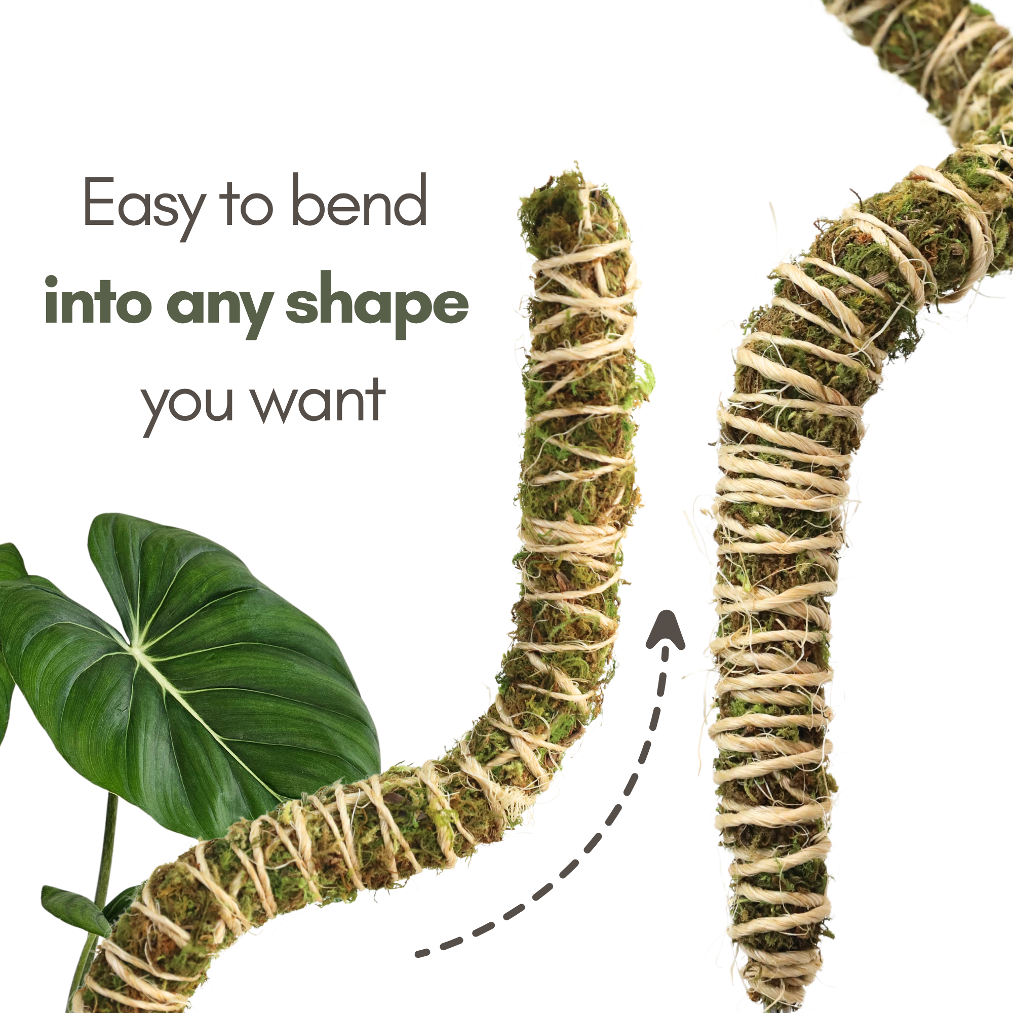 The Bendable Moss Pole™ 𝘛𝘏𝘐𝘕