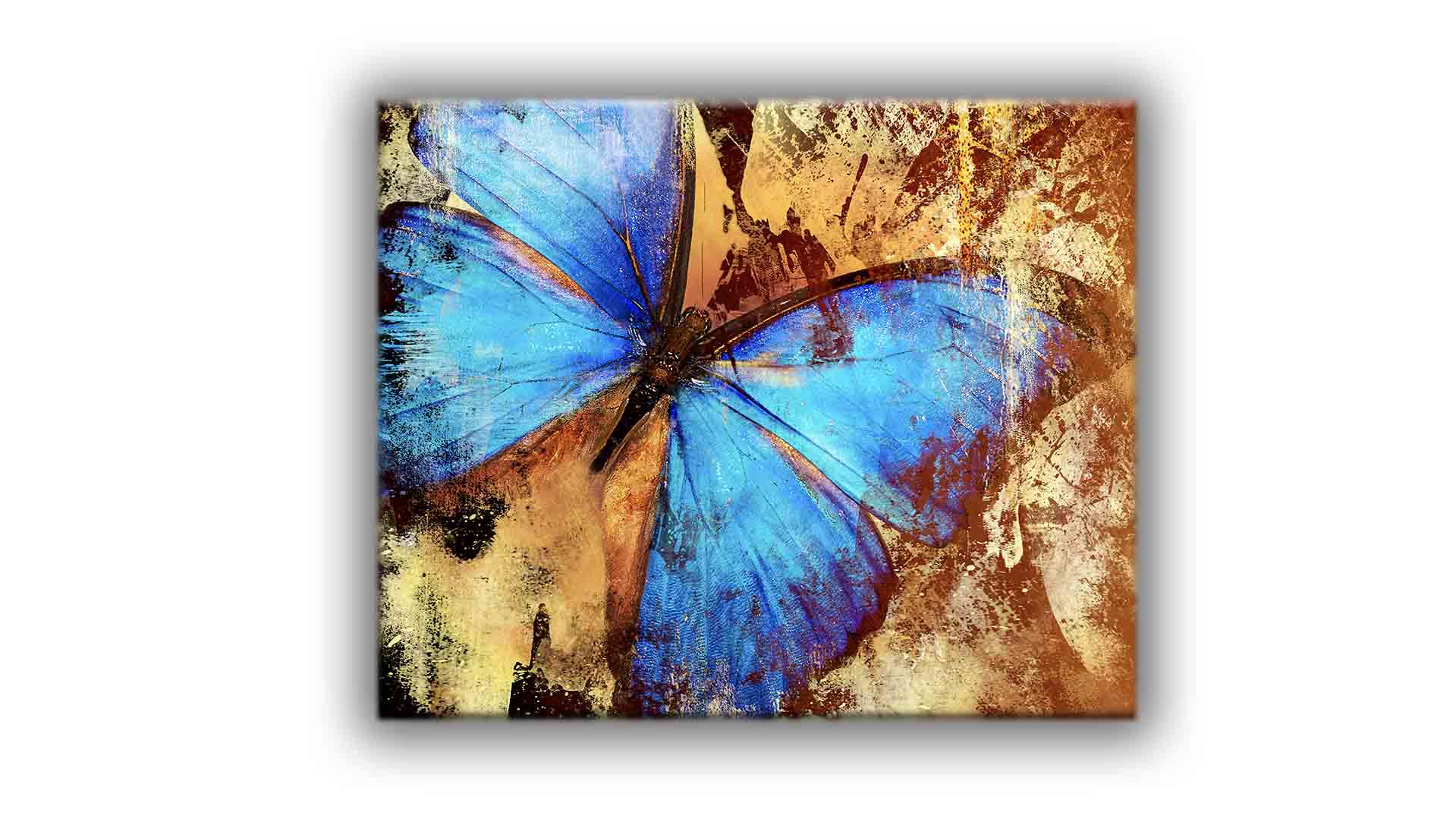 Toile imprimée - Papillon - Décoration murale