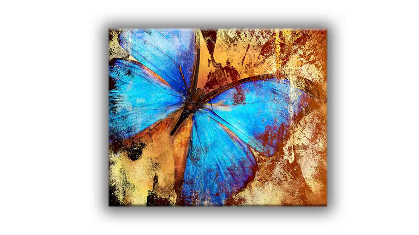 Toile imprimée - Papillon - Décoration murale