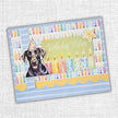 Birthday Fun 6x6 Paper Collection 33279