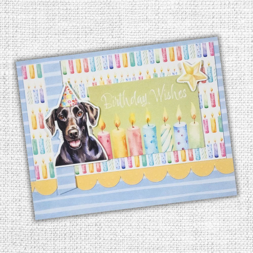 Birthday Fun 6x6 Paper Collection 33279