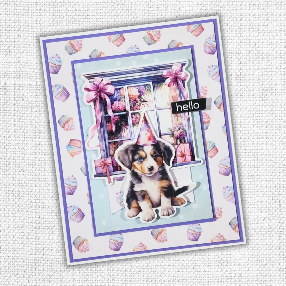 Birthday Fun 12x12 Paper Collection 33258
