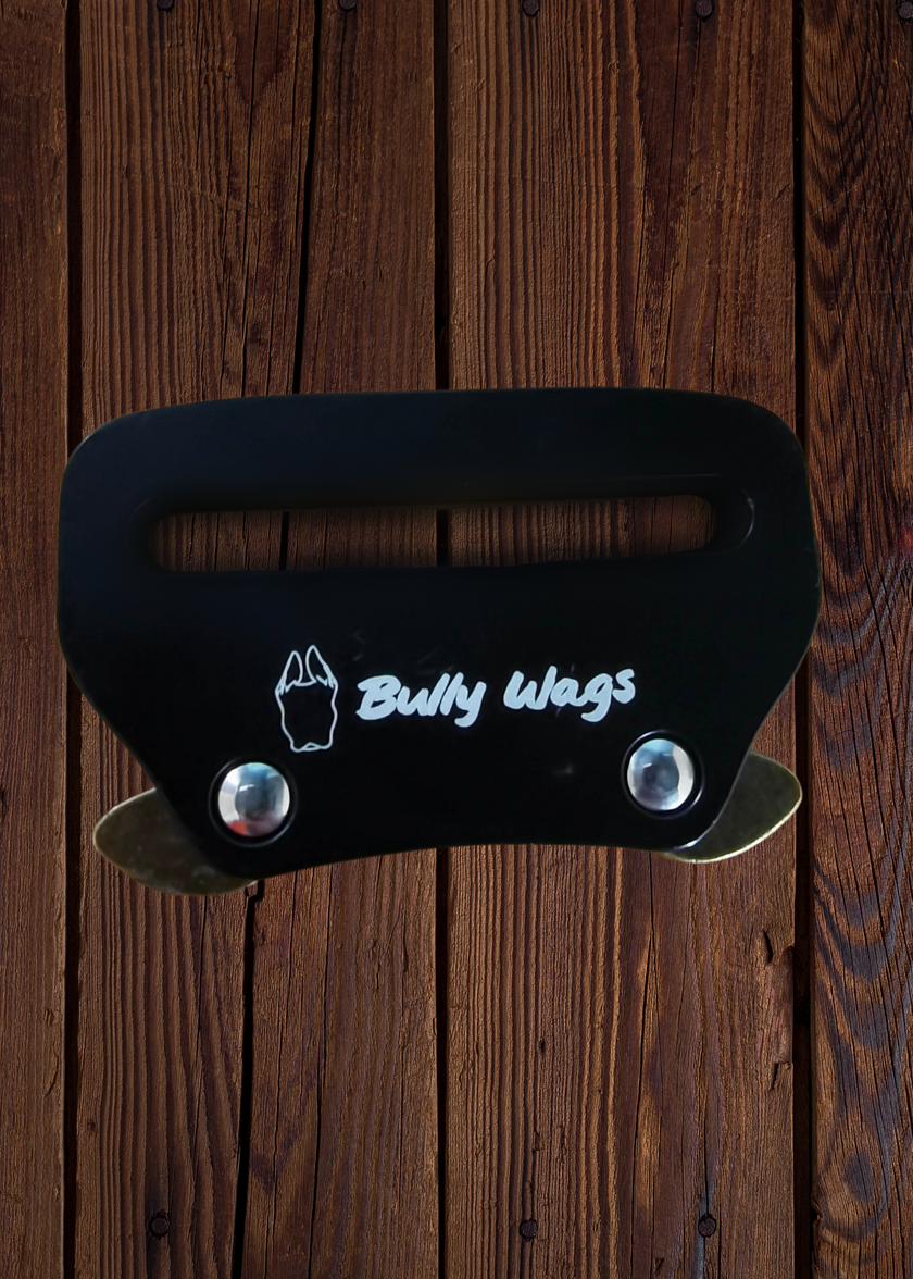 Heavy-Duty Everyday Harness - Black