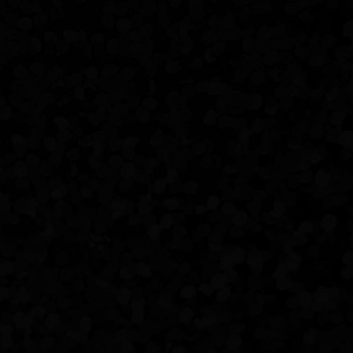 XVINYL Holographic Sparkle HTV - Heat Transfer Vinyl (Black), 12x10