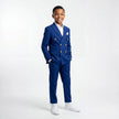 Golden Buttons Boys Suit