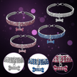 Bling Rhinestone Dog Collar – Crystal Pet Collar for Small Dogs & Cats (Blue, Pink, White | S/M/L)