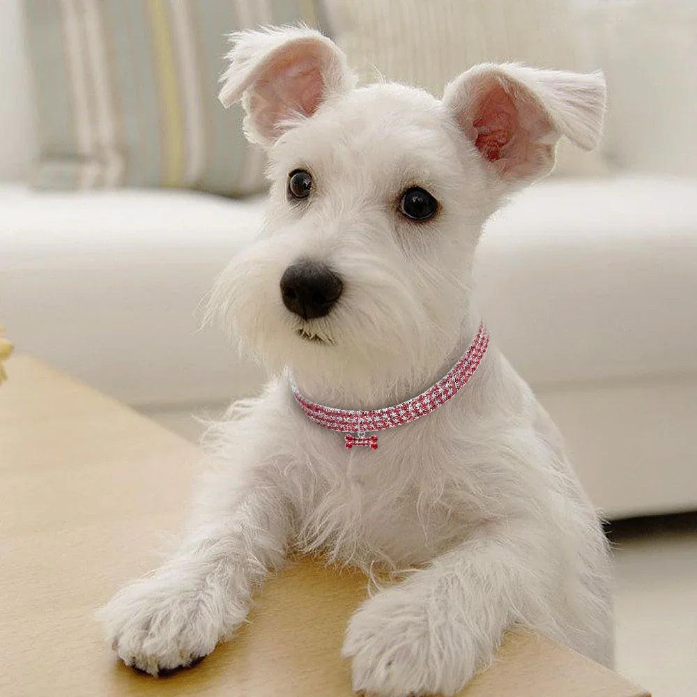 Bling Rhinestone Dog Collar – Crystal Pet Collar for Small Dogs & Cats (Blue, Pink, White | S/M/L)
