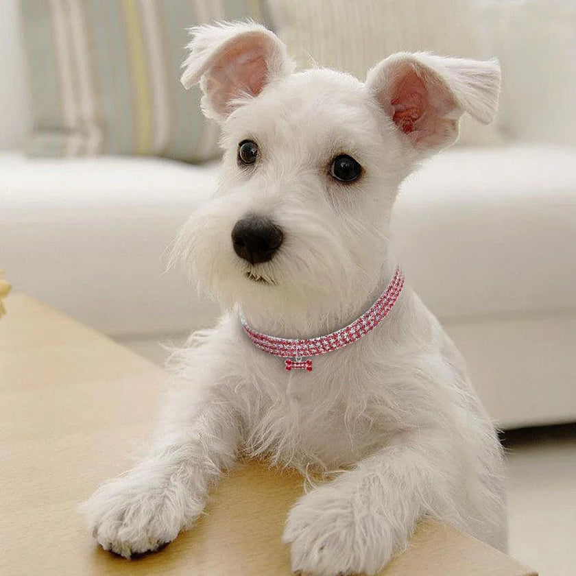 Bling Rhinestone Dog Collar – Crystal Pet Collar for Small Dogs & Cats (Blue, Pink, White | S/M/L)