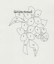 Stencil - Water Lily