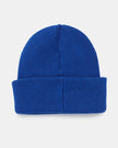 Alden Beanie