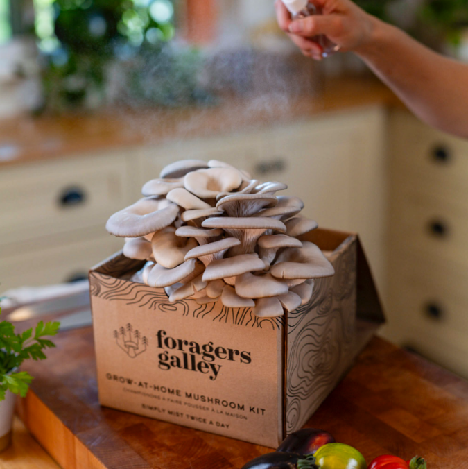 Ultimate Grower's Bundle — Three Kits