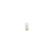 Bohemia Crystal - Rainbow Flute (Set of 6) assorted