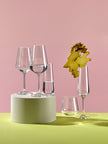 Bohemia Crystal - Sandra Wine 450ml (Set of 6)