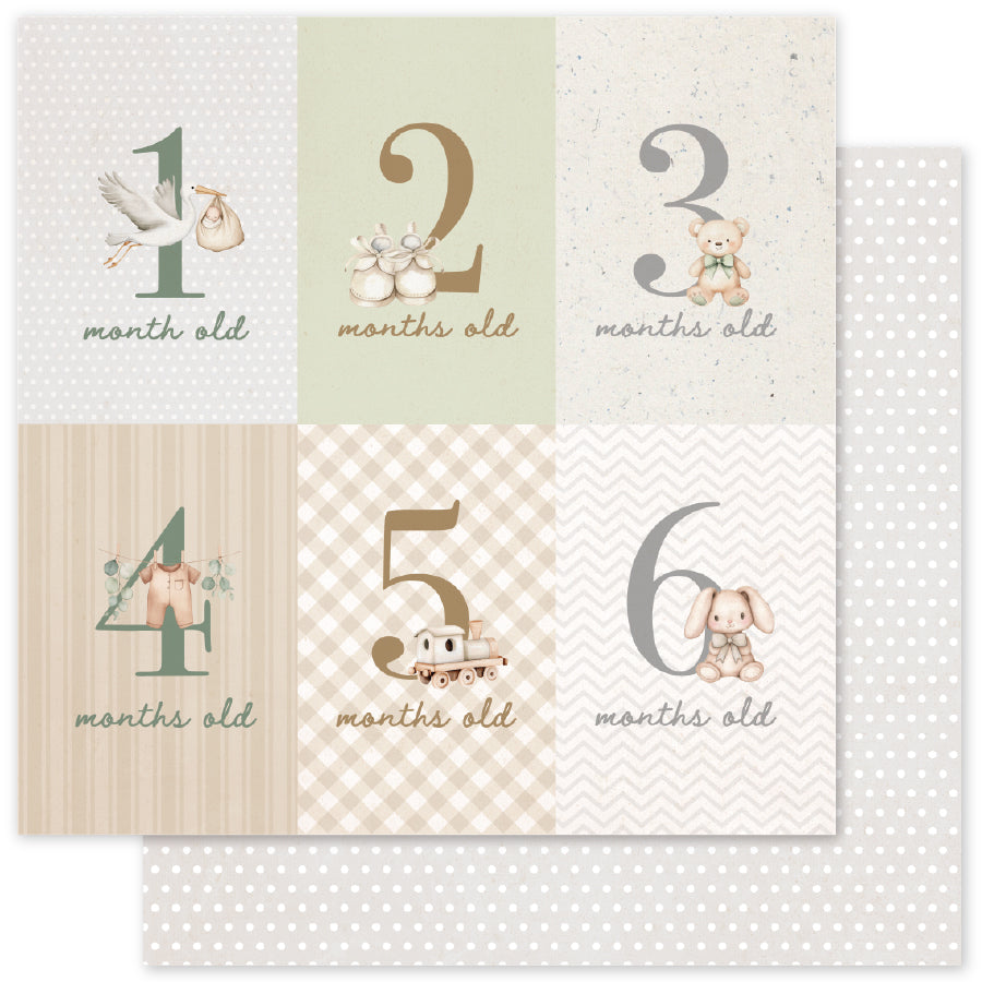 Boho Baby Basics A 12x12 Paper (12pc Bulk Pack) 35104