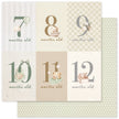 Boho Baby Basics D 12x12 Paper (12pc Bulk Pack) 35113