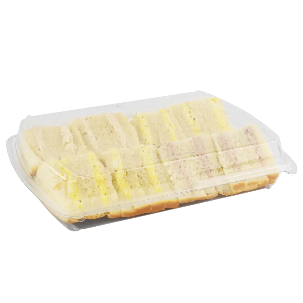 Boîte plastique transparente série 69 – Idéale pour présentation et transport