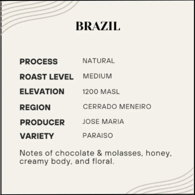 Rhapsody - Brazil