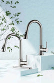 Brushed Kitchen Sink Faucet with Sprayer - Stainless Steel