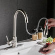 Brushed Kitchen Sink Faucet with Sprayer - Stainless Steel