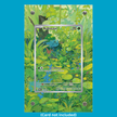 Bulbasaur 166/165 151 (Ungraded) Display Case