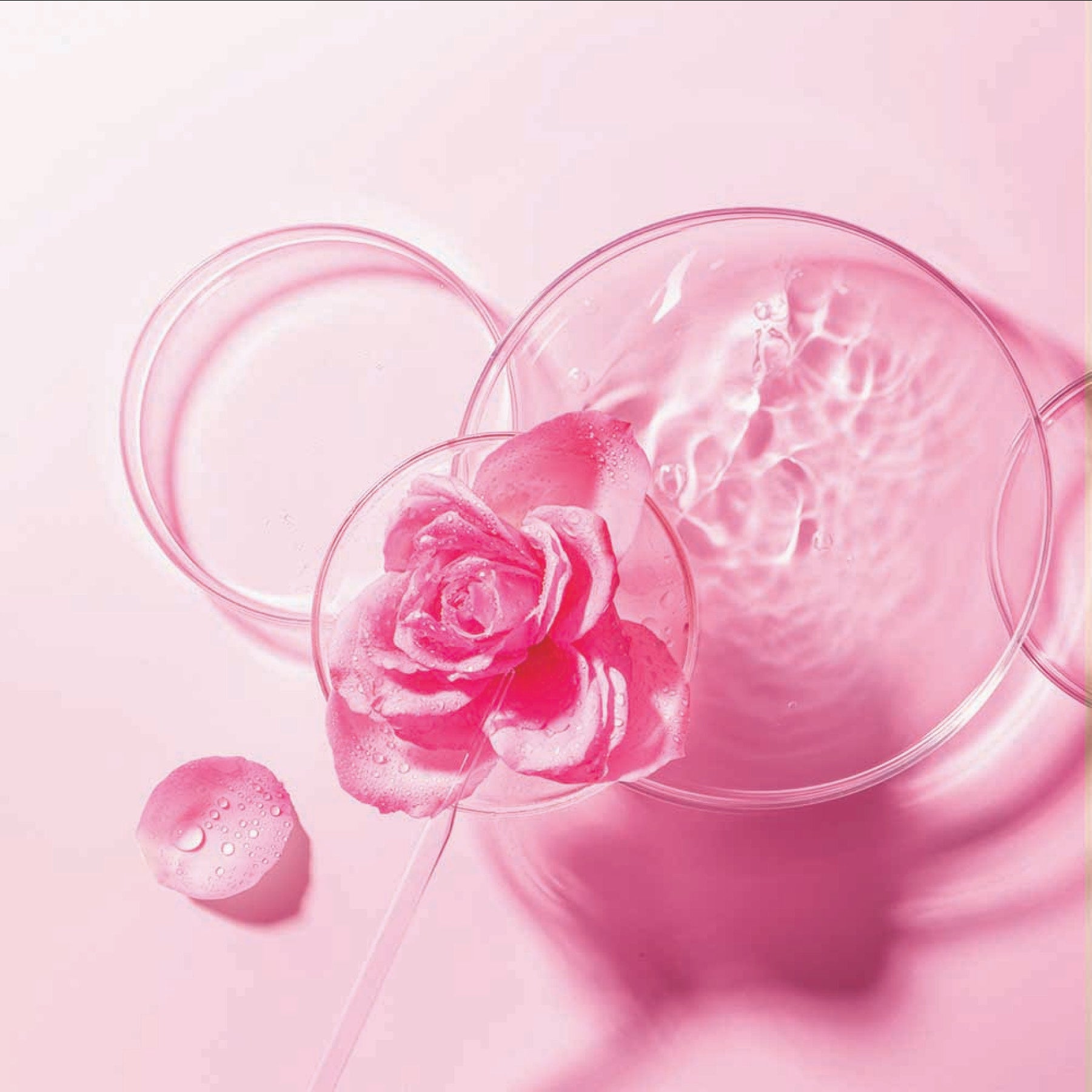 FOREO Bulgarian Rose Sheet Mask (3x)