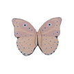 Butterfly Costume