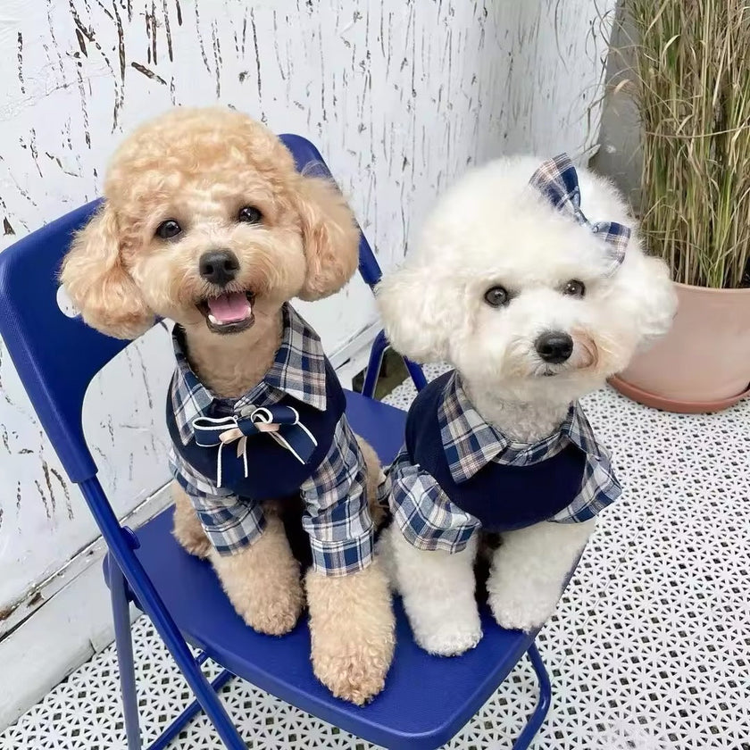 Fiona Set – Luxury Plaid Outfit Set for Dogs